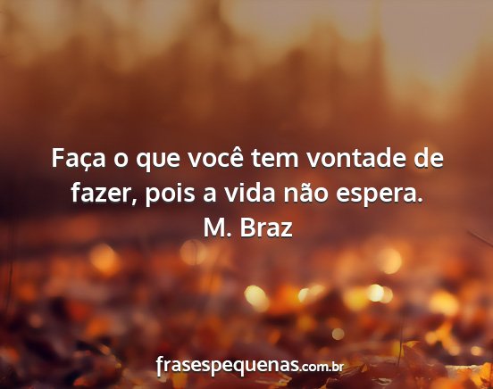 M. Braz - Faça o que você tem vontade de fazer, pois a...