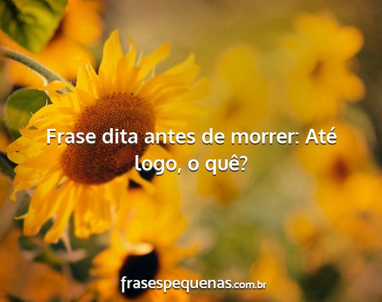 Frase dita antes de morrer: Até logo, o quê?...