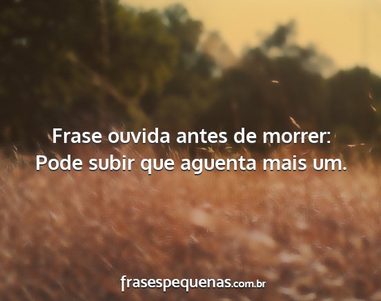 Frase ouvida antes de morrer: Pode subir que...