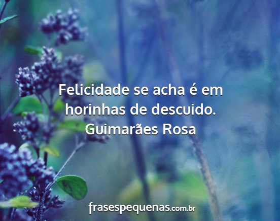 Guimarães Rosa - Felicidade se acha é em horinhas de descuido....