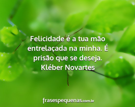 Kléber Novartes - Felicidade é a tua mão entrelaçada na minha....