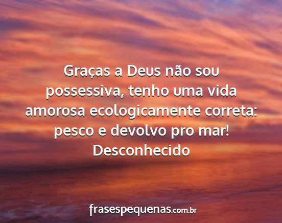 Desconhecido - Graças a Deus não sou possessiva, tenho uma...