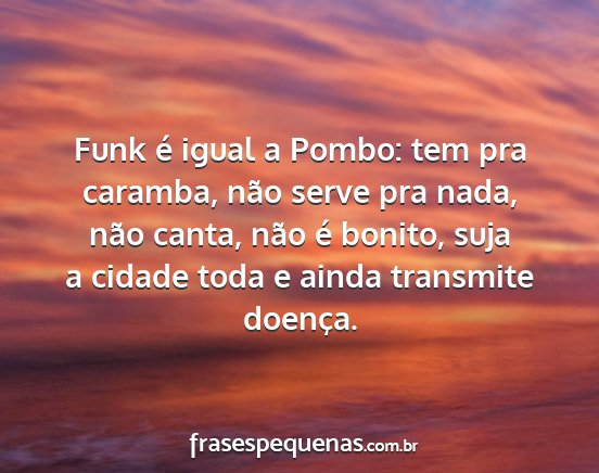 Funk é igual a Pombo: tem pra caramba, não...