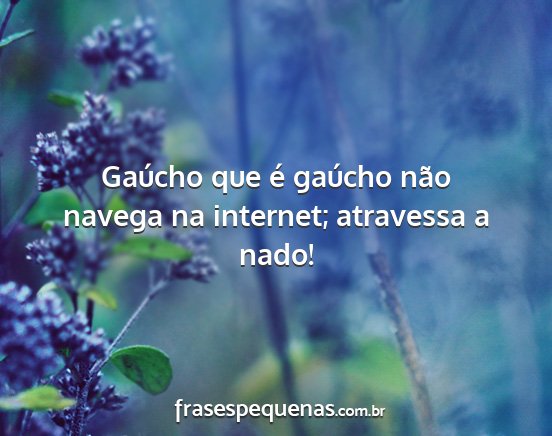 Gaúcho que é gaúcho não navega na internet;...