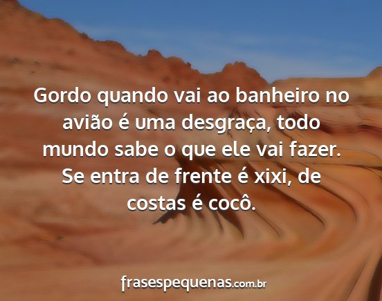 Gordo quando vai ao banheiro no avião é uma...