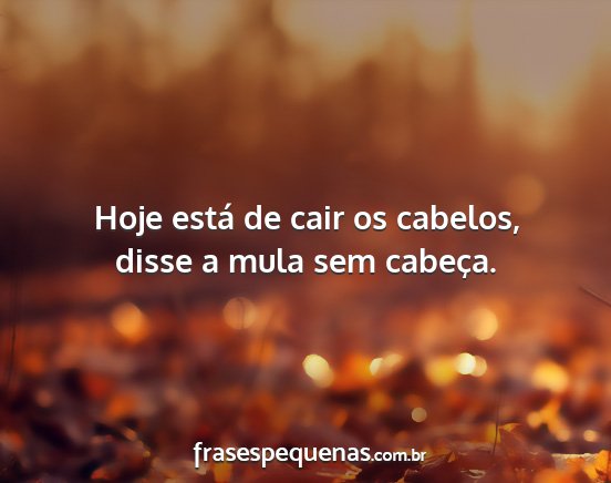 Hoje está de cair os cabelos, disse a mula sem...