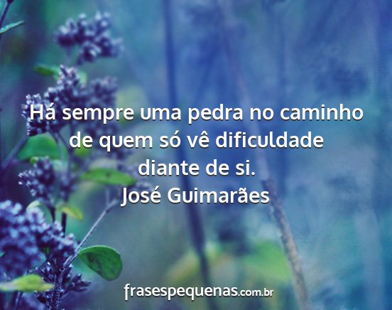 José Guimarães - Há sempre uma pedra no caminho de quem só vê...