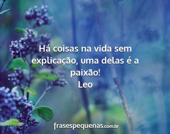 Leo - Há coisas na vida sem explicação, uma delas é...