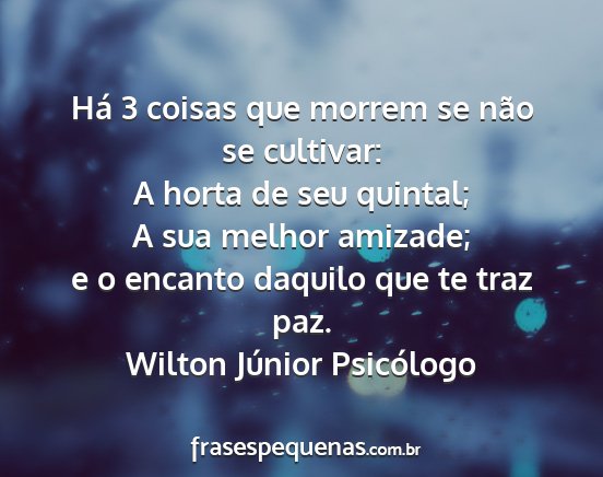 Wilton Júnior Psicólogo - Há 3 coisas que morrem se não se cultivar: A...