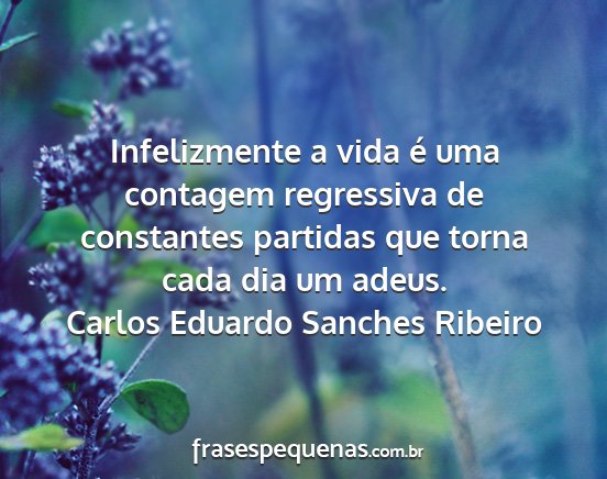 Carlos Eduardo Sanches Ribeiro - Infelizmente a vida é uma contagem regressiva de...