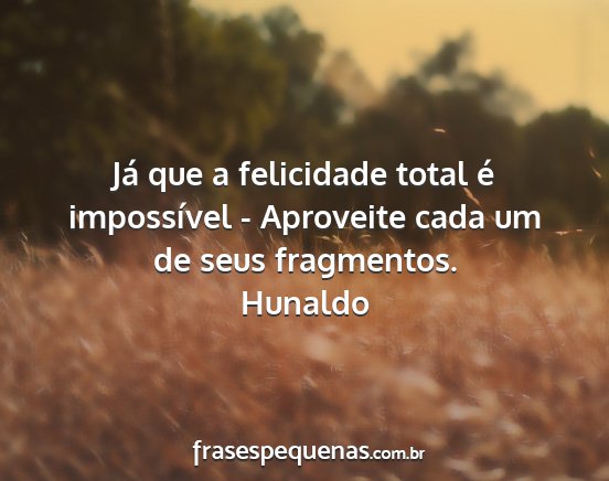 Hunaldo - Já que a felicidade total é impossível -...