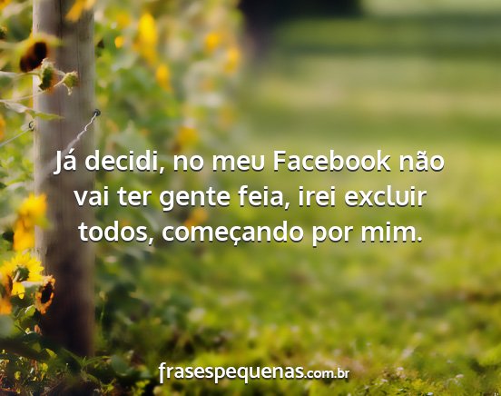 Já decidi, no meu Facebook não vai ter gente...