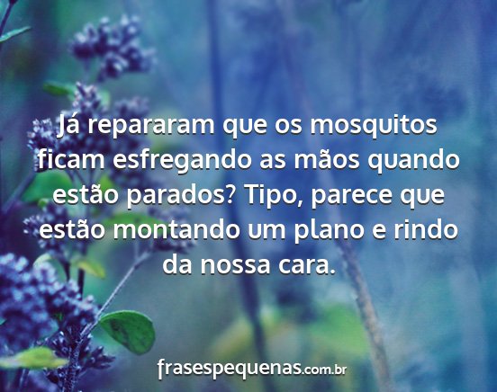 Já repararam que os mosquitos ficam esfregando...