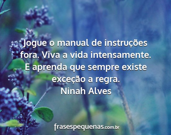 Ninah Alves - Jogue o manual de instruções fora. Viva a vida...