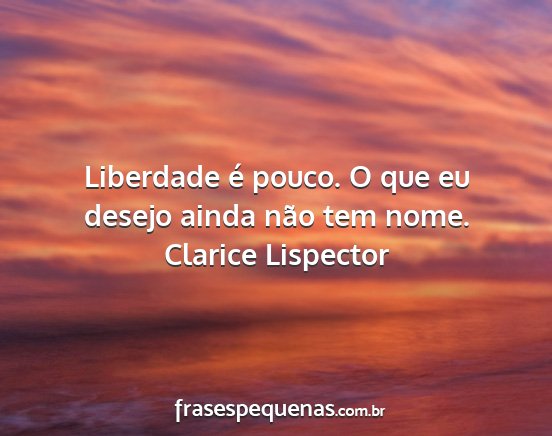 Clarice Lispector - Liberdade é pouco. O que eu desejo ainda não...