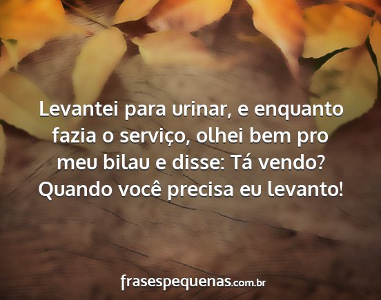Levantei para urinar, e enquanto fazia o...
