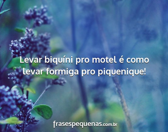 Levar biquíni pro motel é como levar formiga...