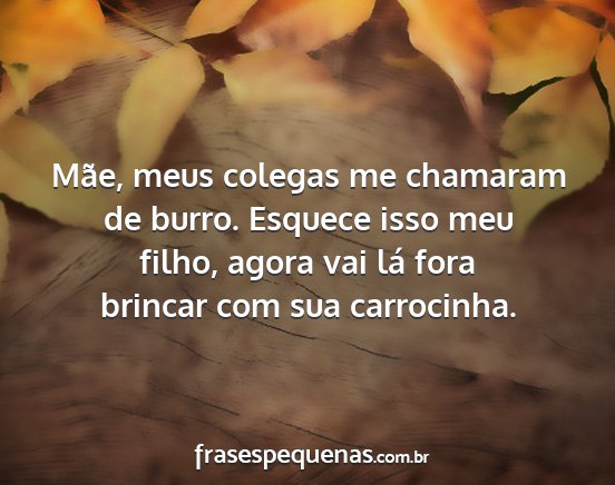 Mãe, meus colegas me chamaram de burro. Esquece...