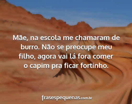 Mãe, na escola me chamaram de burro. Não se...