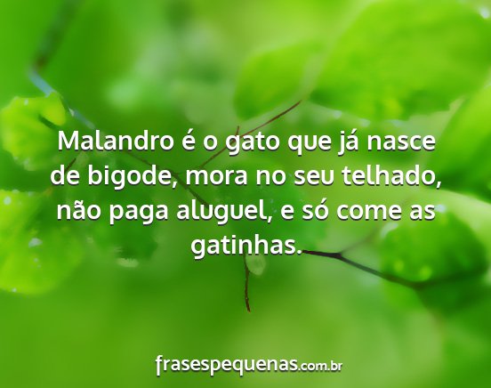 Malandro é o gato que já nasce de bigode, mora...