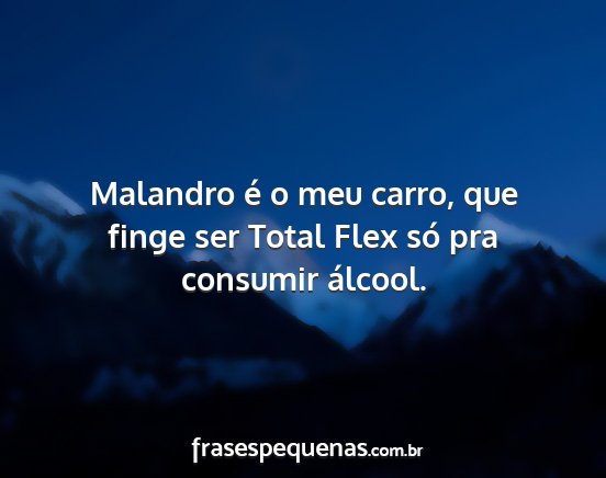 Malandro é o meu carro, que finge ser Total Flex...