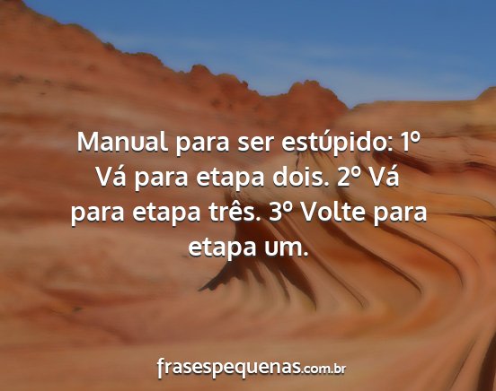 Manual para ser estúpido: 1º Vá para etapa...