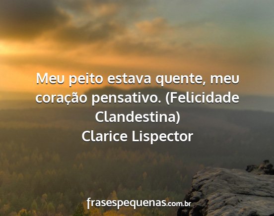 Clarice Lispector - Meu peito estava quente, meu coração pensativo....