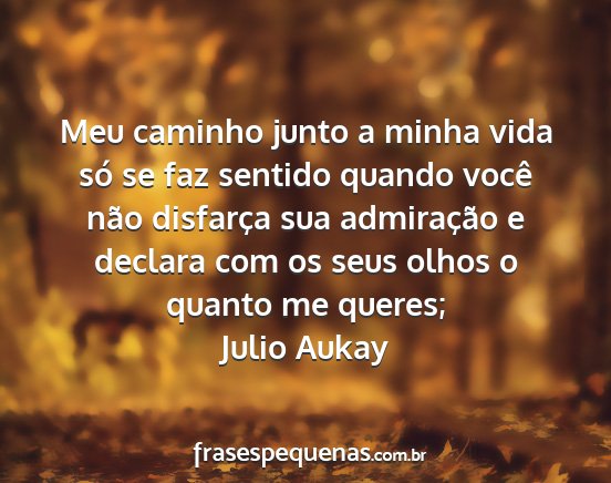 Julio Aukay - Meu caminho junto a minha vida só se faz sentido...