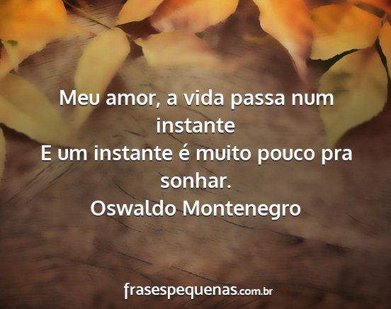 Oswaldo Montenegro - Meu amor, a vida passa num instante E um instante...