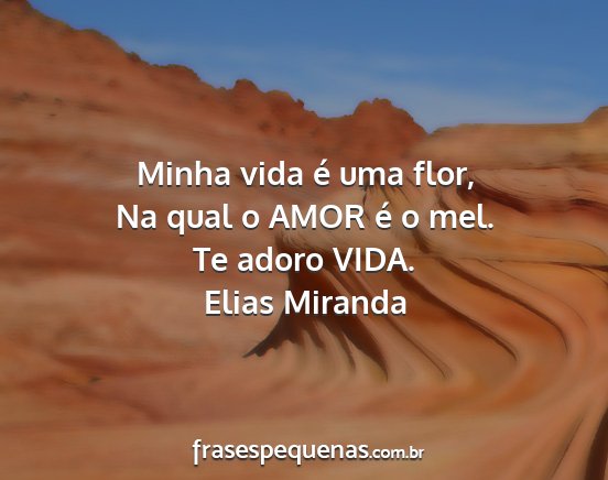 Elias Miranda - Minha vida é uma flor, Na qual o AMOR é o mel....