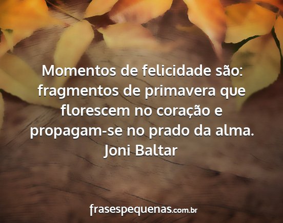 Joni Baltar - Momentos de felicidade são: fragmentos de...