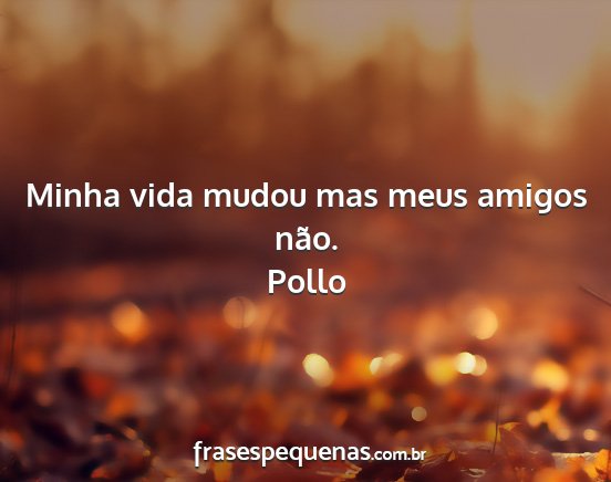 Pollo - Minha vida mudou mas meus amigos não....