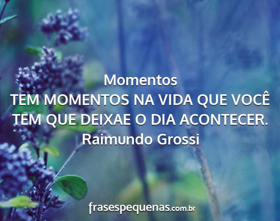 Raimundo Grossi - Momentos TEM MOMENTOS NA VIDA QUE VOCÊ TEM QUE...