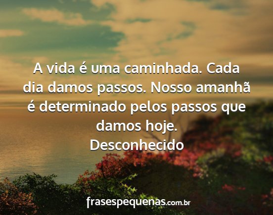 Desconhecido - A vida é uma caminhada. Cada dia damos passos....