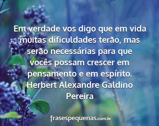 Herbert Alexandre Galdino Pereira - Em verdade vos digo que em vida muitas...