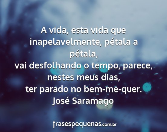 José Saramago - A vida, esta vida que inapelavelmente, pétala a...