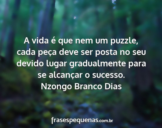 Nzongo Branco Dias - A vida é que nem um puzzle, cada peça deve ser...