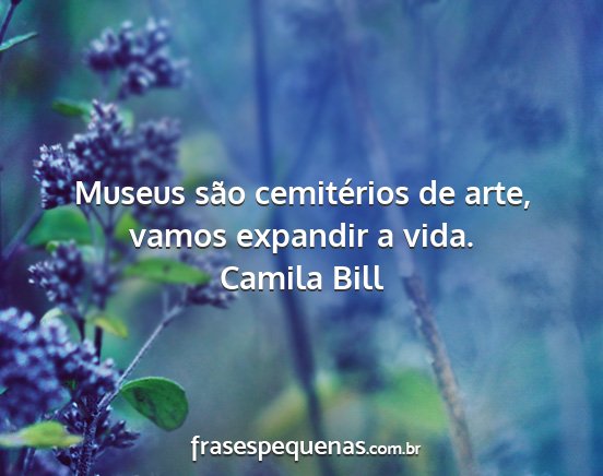 Camila Bill - Museus são cemitérios de arte, vamos expandir a...