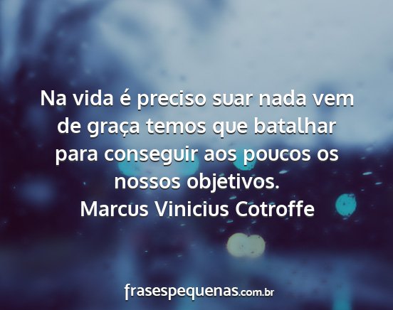 Marcus Vinicius Cotroffe - Na vida é preciso suar nada vem de graça temos...