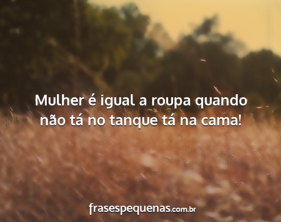 Mulher é igual a roupa quando não tá no tanque...