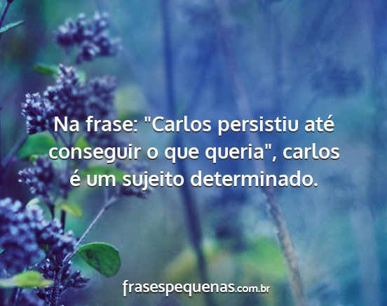 Na frase: Carlos persistiu até conseguir o que...