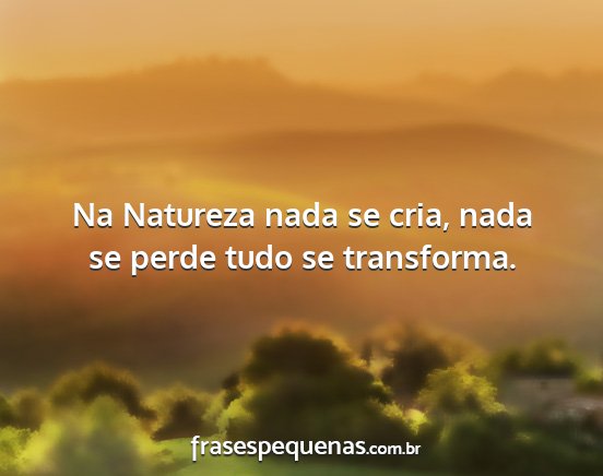 Na Natureza nada se cria, nada se perde tudo se...