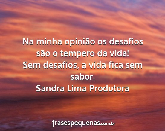 Sandra Lima Produtora - Na minha opinião os desafios são o tempero da...