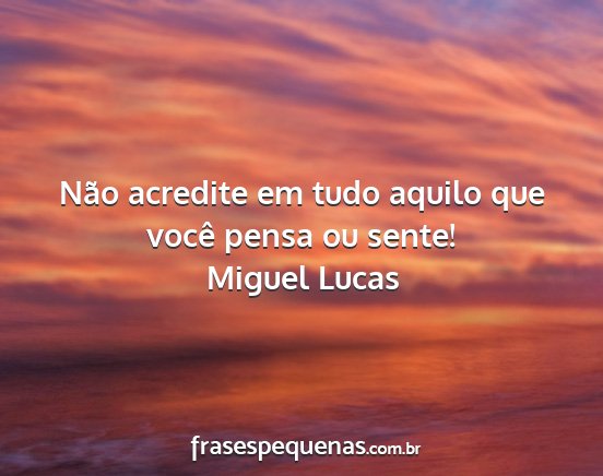 Miguel Lucas - Não acredite em tudo aquilo que você pensa ou...