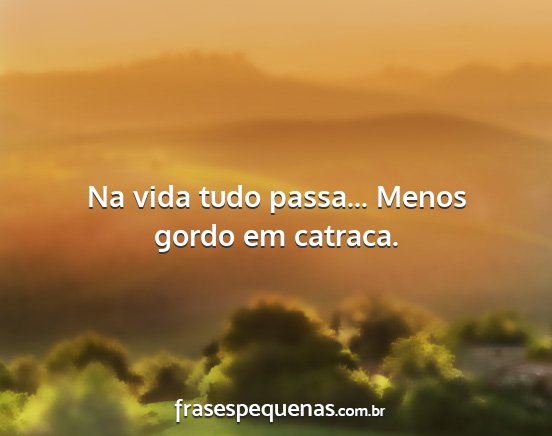 Na vida tudo passa... Menos gordo em catraca....