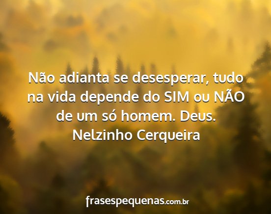 Nelzinho Cerqueira - Não adianta se desesperar, tudo na vida depende...