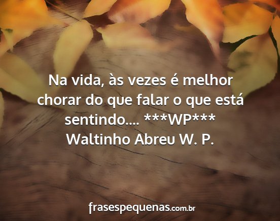 Waltinho Abreu W. P. - Na vida, às vezes é melhor chorar do que falar...