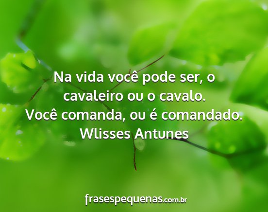 Wlisses Antunes - Na vida você pode ser, o cavaleiro ou o cavalo....