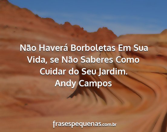 Andy Campos - Não Haverá Borboletas Em Sua Vida, se Não...