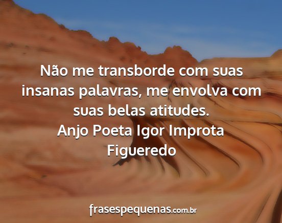 Anjo Poeta Igor Improta Figueredo - Não me transborde com suas insanas palavras, me...